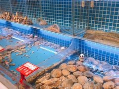 水产区-必点海鲜·鲅鱼水饺(鞍山西道店)