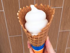 华夫甜筒-DQ·蛋糕·冰淇淋(嘉兴南湖万达店)