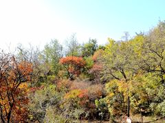 -北京西山国家森林公园