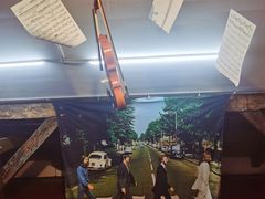 -树懒黑胶唱片店(中山路店)