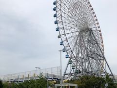 -大阪海游馆