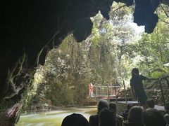 -怀托摩萤火虫洞