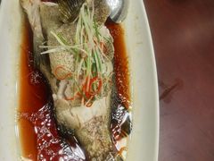 -碧丽宫大酒店(召稼楼店)