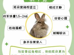 -博特宠物医院24h犬猫全科.骨科·异宠