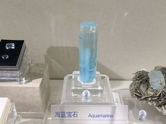 -安徽省地质博物馆