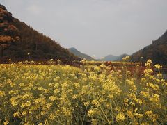 -广州市石门国家森林公园