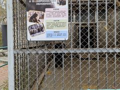 -哈尔滨北方森林动物园