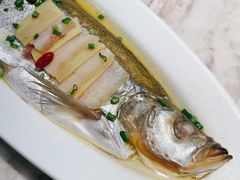 鸡汁白鱼-淮扬韵(凤八市政府店)