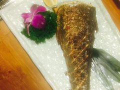 海神海鲜排挡-海神·济州岛海鲜料理(天乐广场店)