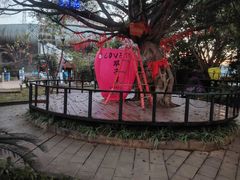 -墨江北回归线标志园