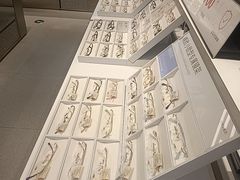 -LOHO眼镜(北京富力广场店)