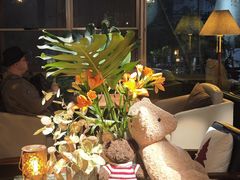 -咖法森林·咖啡  酒吧(天河店)