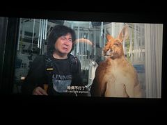 -博纳国际影城IMAX(中央大道店)