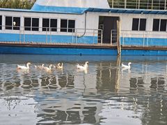 -东钱湖旅游度假区