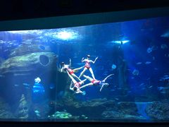 -多彩贵州城极地海洋世界