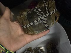 -喜洋洋蟹庄(阳澄湖店)