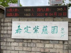 -嘉定紫藤园