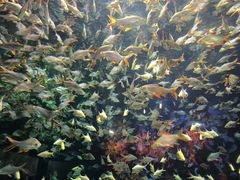 -成都浩海立方海洋公园