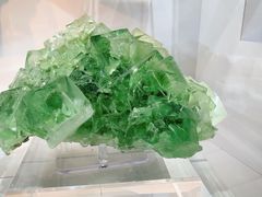 -中国地质大学逸夫博物馆