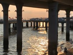 -演武大桥观景平台