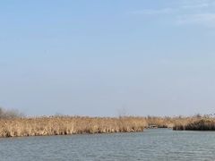 -盐城丹顶鹤湿地生态旅游区