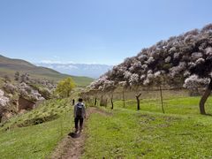 -新疆那拉提国家旅游度假区