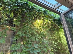 -川旺角川粤融合菜•海景餐厅(星海广场店)