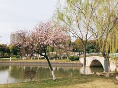 -中央公园(苏州工业园区)
