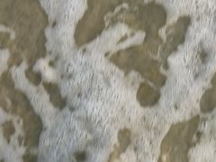 -北海金海湾红树林生态旅游区