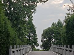 -洋湖国家湿地公园