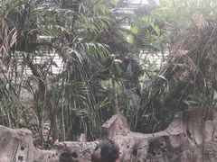 -龙达温泉生态城