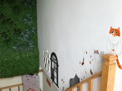 -猫的茶·猫咖