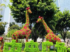 -重庆市江北嘴中央商务区中央公园