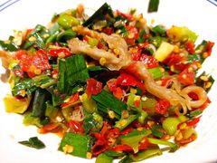 鸭掌筋-壹盏灯(蚂蚁工房店)