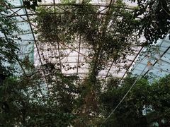 -蜜蜂园花园餐厅