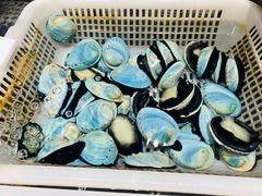 蓝色的鲍鱼-盒马鲜生(财富中心店)