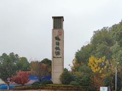 -溱湖国家湿地公园