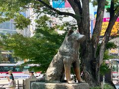 -涩谷全向十字路口