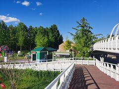 -大兴滨河森林公园