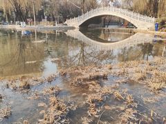 -西安市长乐公园
