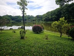 -东莞植物园