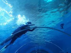 -北戴河圣蓝海洋公园