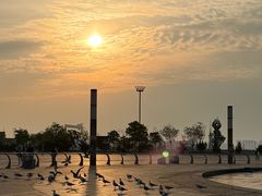 -东港音乐喷泉广场