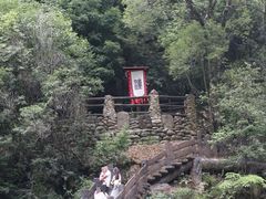 -光雾山旅游景区