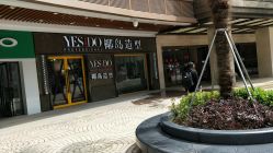 -YESIDO椰岛造型