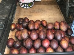 -金喜酪梨果汁专卖店