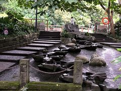 -成都市活水公园