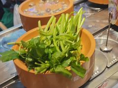 -龍歌自助小火锅(秦淮水游城店)