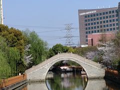 -高东镇樱花园