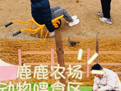 -盈香心动乐园